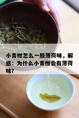 小青柑怎么一股薄荷味，解惑：为什么小青柑会有薄荷味？