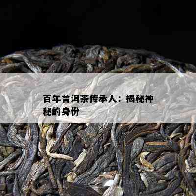 百年普洱茶传承人：揭秘神秘的身份