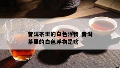 普洱茶里的白色浮物-普洱茶里的白色浮物是啥