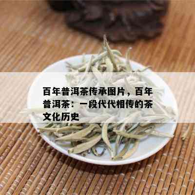 百年普洱茶传承图片，百年普洱茶：一段代代相传的茶文化历史