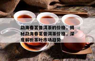 勐海春茗普洱茶的价格，揭秘勐海春茗普洱茶价格，深度解析茶叶市场趋势