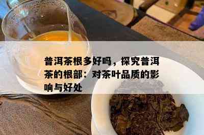 普洱茶根多好吗，探究普洱茶的根部：对茶叶品质的作用与好处