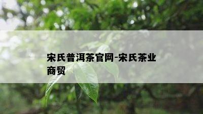 宋氏普洱茶官网-宋氏茶业商贸