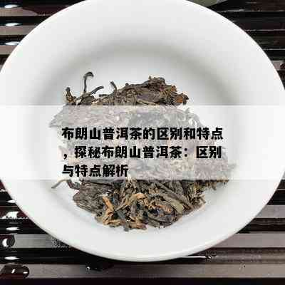 布朗山普洱茶的区别和特点，探秘布朗山普洱茶：区别与特点解析