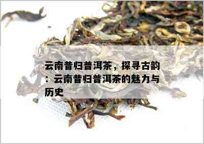 云南昔归普洱茶，探寻古韵：云南昔归普洱茶的魅力与历史