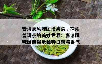 普洱茶风味图谱高清，探索普洱茶的美妙世界：高清风味图谱揭示特别口感与香气