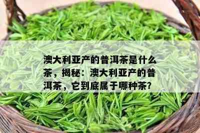 澳大利亚产的普洱茶是什么茶，揭秘：澳大利亚产的普洱茶，它到底属于哪种茶？