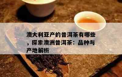 澳大利亚产的普洱茶有哪些，探索澳洲普洱茶：品种与产地解析