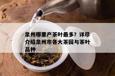 泉州哪里产茶叶最多？详尽介绍泉州市各大茶园与茶叶品种