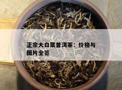 正宗大白菜普洱茶：价格与图片全览