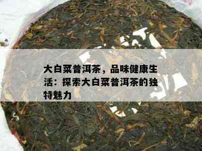 大白菜普洱茶，品味健康生活：探索大白菜普洱茶的特别魅力