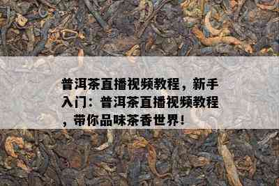 普洱茶直播视频教程，新手入门：普洱茶直播视频教程，带你品味茶香世界！