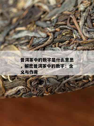 普洱茶中的数字是什么意思，解密普洱茶中的数字：含义与作用