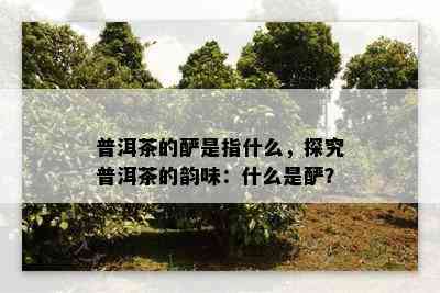 普洱茶的酽是指什么，探究普洱茶的韵味：什么是酽？