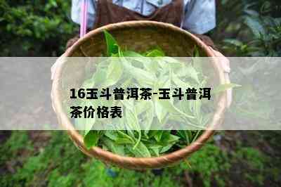 16玉斗普洱茶-玉斗普洱茶价格表