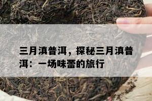 三月滇普洱，探秘三月滇普洱：一场味蕾的旅行