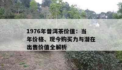 1976年普洱茶价值：当年价格、现今购买力与潜在出售价值全解析