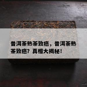 普洱茶熟茶致癌，普洱茶熟茶致癌？真相大揭秘！