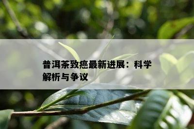 普洱茶致癌最新进展：科学解析与争议