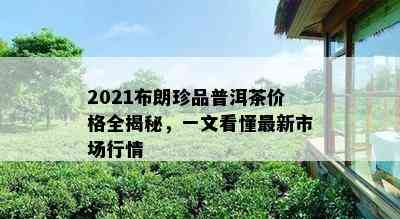 2021布朗珍品普洱茶价格全揭秘，一文看懂最新市场行情