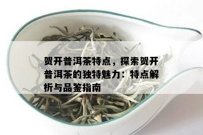 贺开普洱茶特点，探索贺开普洱茶的特别魅力：特点解析与品鉴指南