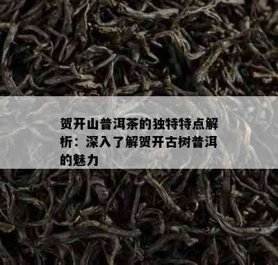 贺开山普洱茶的特别特点解析：深入熟悉贺开古树普洱的魅力