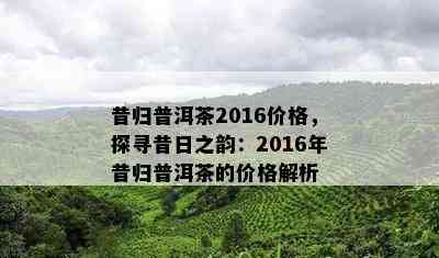 昔归普洱茶2016价格，探寻昔日之韵：2016年昔归普洱茶的价格解析