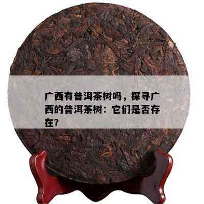 广西有普洱茶树吗，探寻广西的普洱茶树：它们是否存在？