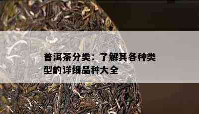 普洱茶分类：熟悉其各种类型的详细品种大全