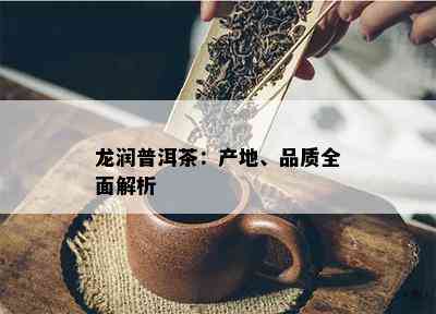 龙润普洱茶：产地、品质全面解析