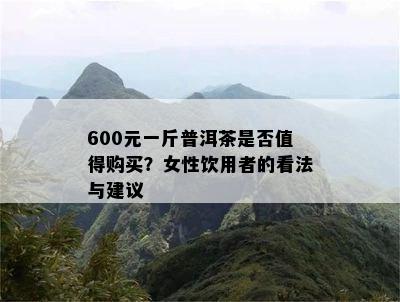 600元一斤普洱茶是不是值得购买？女性饮用者的看法与建议