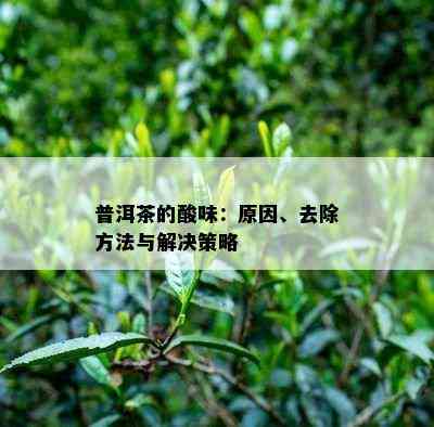 普洱茶的酸味：起因、去除方法与解决策略