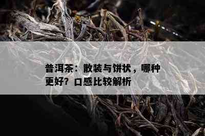 普洱茶：散装与饼状，哪种更好？口感比较解析