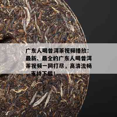 广东人喝普洱茶视频播放：最新、最全的广东人喝普洱茶视频一网打尽，高清流畅，支持下载！