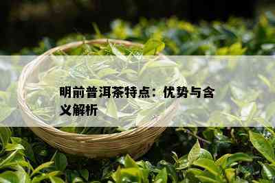 明前普洱茶特点：优势与含义解析