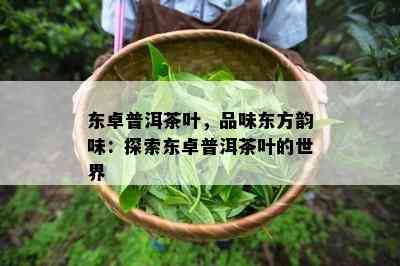 东卓普洱茶叶，品味东方韵味：探索东卓普洱茶叶的世界