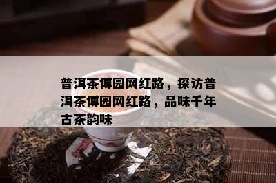 普洱茶博园网红路，探访普洱茶博园网红路，品味千年古茶韵味