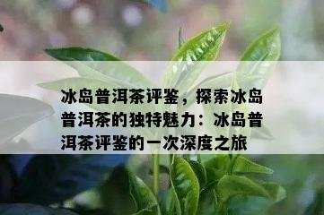 冰岛普洱茶评鉴，探索冰岛普洱茶的特别魅力：冰岛普洱茶评鉴的一次深度之旅