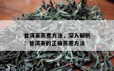 普洱茶蒸煮方法，深入解析：普洱茶的正确蒸煮方法