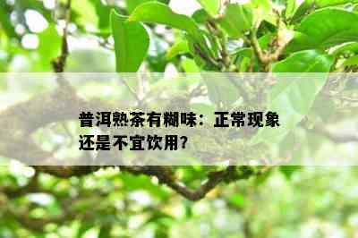 普洱熟茶有糊味：正常现象还是不宜饮用？