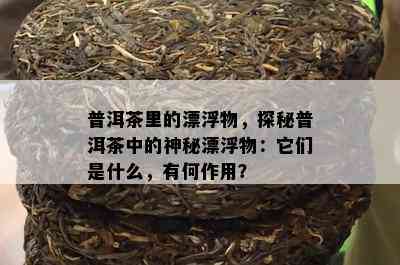 普洱茶里的漂浮物，探秘普洱茶中的神秘漂浮物：它们是什么，有何作用？