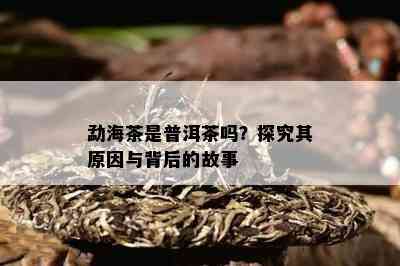 勐海茶是普洱茶吗？探究其起因与背后的故事