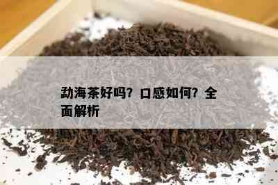 勐海茶好吗？口感怎样？全面解析