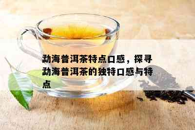 勐海普洱茶特点口感，探寻勐海普洱茶的特别口感与特点