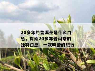 20多年的普洱茶是什么口感，探索20多年普洱茶的特别口感：一次味蕾的旅行