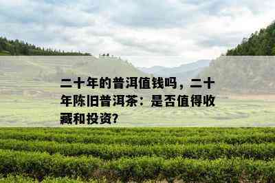 二十年的普洱值钱吗，二十年陈旧普洱茶：是不是值得收藏和投资？