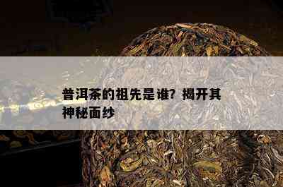 普洱茶的祖先是谁？揭开其神秘面纱