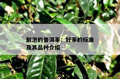 耐泡的普洱茶：好茶的标准及其品种介绍