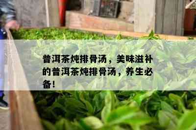 普洱茶炖排骨汤，美味滋补的普洱茶炖排骨汤，养生必备！