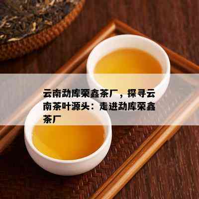 云南勐库荣鑫茶厂，探寻云南茶叶源头：走进勐库荣鑫茶厂